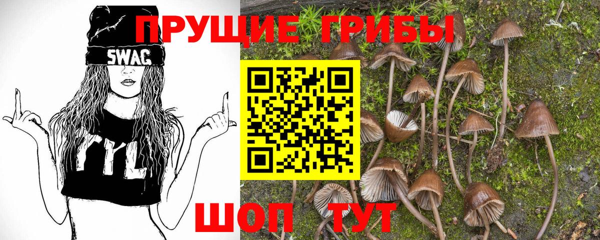 Фурманов  Псилоцибиновые грибы GOLDEN TEACHER  Галлюциногенные грибы прущие грибы  Вход с VPN 