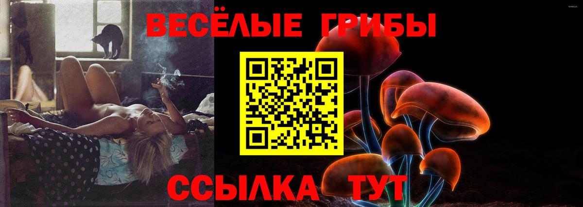 Псилоцибиновые грибы Magic Shrooms Фурманов